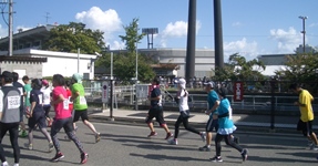 Niigata Marathon XgXp[g